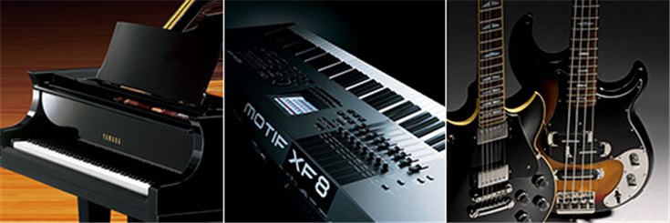 j9集团乐器