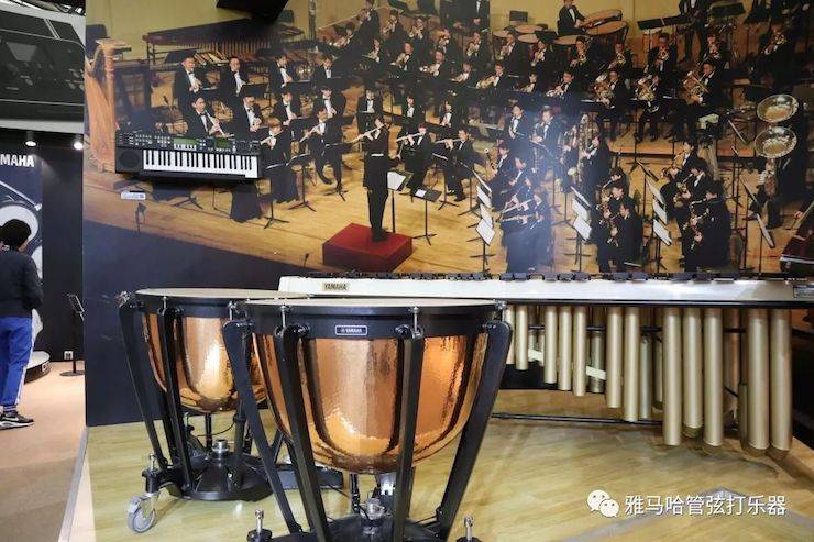 j9集团乐器 试奏乐器