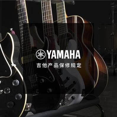 吉他、贝斯和音箱