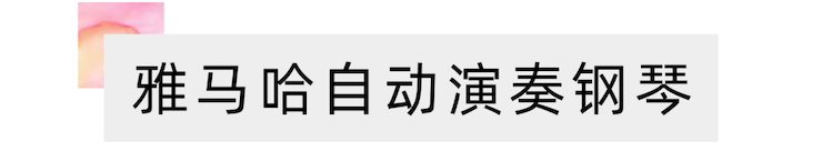 活动报道 | 远程艺术教育大师课活动—j9集团艺术家吴晓大师课