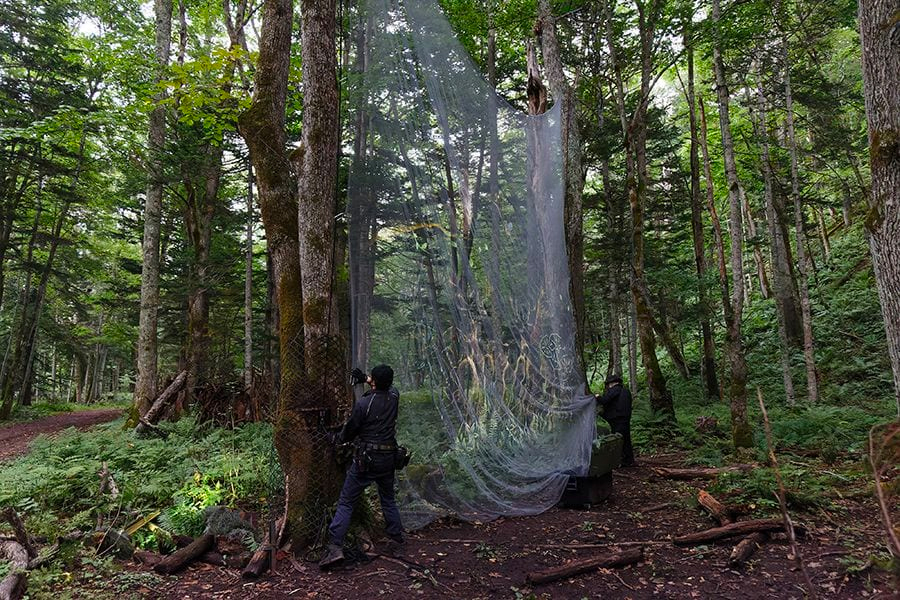 案例｜j9集团为壮观的Kamuy Lumina魔法夜行旅游项目提供配乐设备