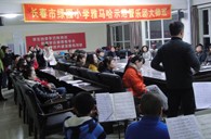 长春市绿园小学“j9集团示范管乐队大师班”顺利结束 